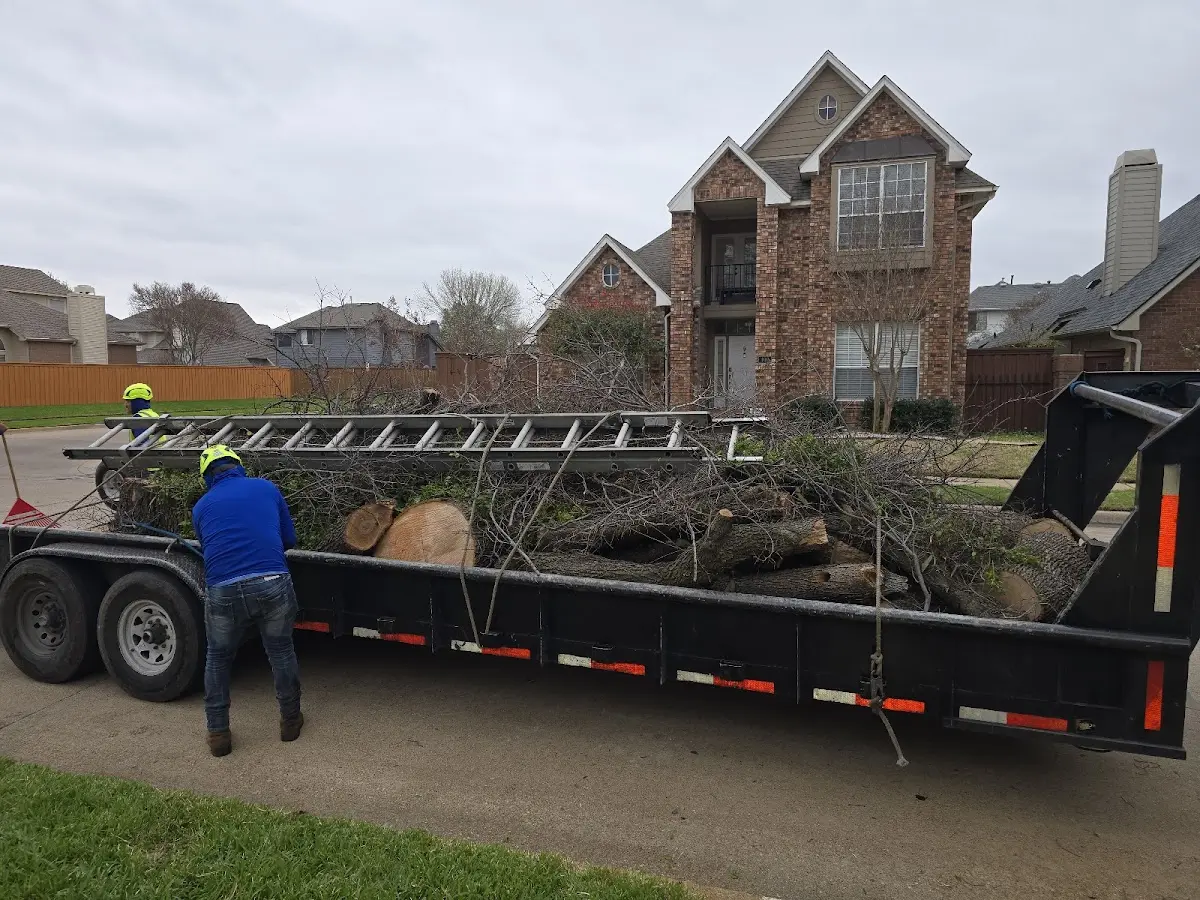 Expert Tree Fertilization with proper safety equipment in Gordonville